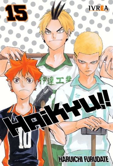 HAIKYU!! 15